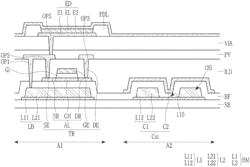 DISPLAY DEVICE