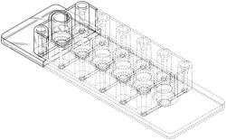 Container for cell observation