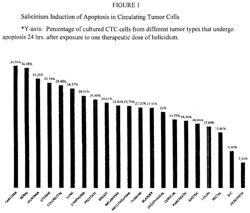 Compositions And Methods For Inducing Apopotosis In Anaerobic Cells And Related Clinical Methods For Treating Cancer And Pathogenic Infections