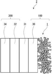 WATER ELECTROLYSIS CELL AND WATER ELECTROLYZER