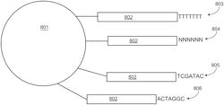 SPATIALLY-TAGGED ANALYTE CAPTURE AGENTS FOR ANALYTE MULTIPLEXING