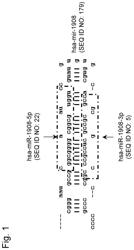 Lung cancer detection kit or device, and detection method