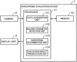 SARCOPENIA EVALUATION METHOD, SARCOPENIA EVALUATION DEVICE, AND NON-TRANSITORY COMPUTER-READABLE RECORDING MEDIUM IN WHICH SARCOPENIA EVALUATION PROGRAM IS RECORDED