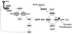 SHP2 Inhibitor Compositions and Methods for Treating Cancer