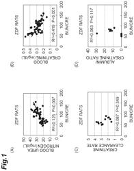 METHOD FOR ASSESSING MITOCHONDRIAL FUNCTION IN TISSUE OR ORGAN OTHER THAN KIDNEY IN TEST SUBJECT