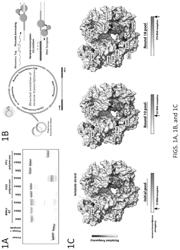 Thermostable reverse transcriptase