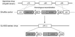 ONCOLYTIC VIRUS AND USES THEREOF