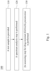 METHOD FOR ASSESSING DRUG-RESISTANT KLEBSIELLA PNEUMONIAE AND DRUG-RESISTANT KLEBSIELLA PNEUMONIAE ASSESSING SYSTEM