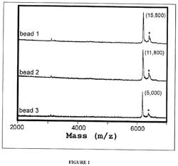 GLOBAL PROTEOMIC SCREENING OF RANDOM BEAD ARRAYS USING MASS SPECTROMETRY IMAGING