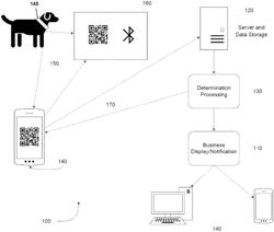 PET AND BUSINESS RATING SYSTEM AND METHODS