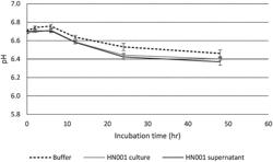 USE OF LACTIC ACID BACTERIA TO INHIBIT METHANOGEN GROWTH OR REDUCE METHANE EMISSIONS