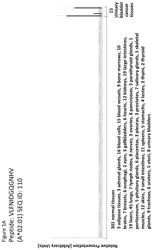 PEPTIDES, COMBINATION OF PEPTIDES, AND CELL BASED MEDICAMENTS FOR USE IN IMMUNOTHERAPY AGAINST URINARY BLADDER CANCER AND OTHER CANCERS