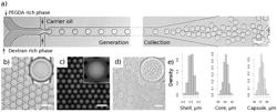 SYSTEMS AND METHODS FOR ENCAPSULATION AND MULTI-STEP PROCESSING OF BIOLOGICAL SAMPLES