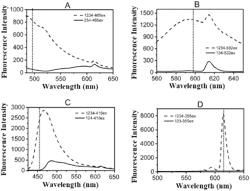 METHOD FOR MEASURING PORE SIZE AND PORE SIZE DISTRIBUTION OF FILTER MEMBRANE