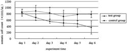 Compound antioxidant preparation for reducing the number of somatic cells in a livestock animal and a preparation method and application thereof