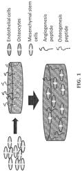 Post-3D printing functionalization of polymer scaffolds for enhanced bioactivity