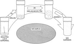 Metallic nanowires and methods thereof