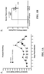 2-pyrimidone analogs as potent antiviral agents against Alphaviruses