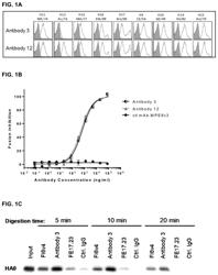 Neutralizing anti-influenza A antibodies and uses thereof