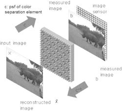 Apparatus and method of acquiring image by employing color separation lens array