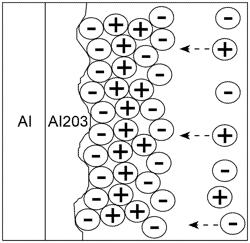 Advanced polymer dispersion and a capacitor on its base