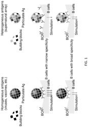 Multivalent nanoparticle-based vaccines