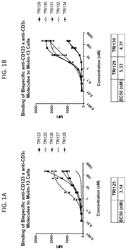 CD123 binding proteins and related compositions and methods