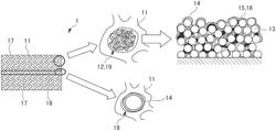 Negative electrode for use in non-aqueous electrolyte secondary battery and non-aqueous electrolyte secondary battery including same