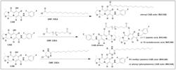 ANTIVIRAL PRODRUGS AND NANOFORMULATIONS THEREOF