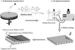 Polyether block polyamide/polydimethylsiloxane composite membrane for gas separation, and preparation method and use thereof