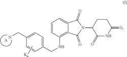 Substituted 4-aminoisoindoline-1,3-dione compounds, compositions thereof, and methods of treatment therewith