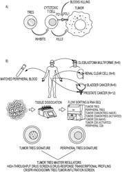 TUMOR IMMUNOTHERAPY