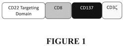 Compositions and Methods for Treating Cancer with Anti-CD22 Immunotherapy