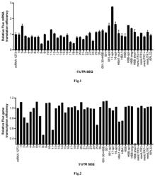 Modification of gene transcription and translation efficiency by 5′UTR sequence variation