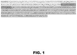 Mesothelin-targeted trail trimer