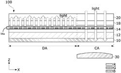 Display device with enhanced light transmission capabilities