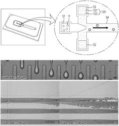 ECO-FRIENDLY CAPSULE MANUFACTURING METHOD FOR STABLE LOADING OF ANTISEPTIC DISINFECTANT AND ECO-FRIENDLY CAPSULE MANUFACTURED THEREFROM