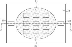 LED LIGHTING APPARATUS HAVING STERILIZING FUNCTION