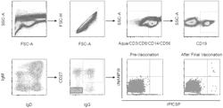 NEUTRALIZING ANTIBODIES TO PLASMODIUM FALCIPARUM CIRCUMSPOROZOITE PROTEIN AND THEIR USE