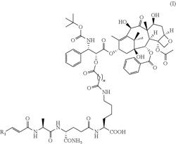 Pharmaceutical composition of docetaxel conjugate and preparation method