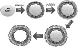 Biodegradable multilayer nanocapsules for the delivery of biologically active agents in target cells