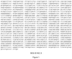 Use of ICOS-based cars to enhance antitumor activity and car persistence