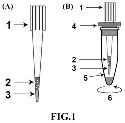 Proteomics reactor, protein chromatographic separation platform and use thereof