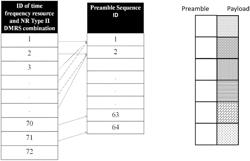 Transmitter-side processing of preambles and reference signals