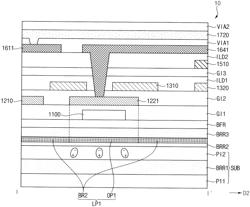 Display device including lower pattern