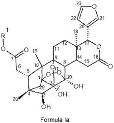 NEW COMPOUNDS AND METHODS OF THEIR MANUFACTURING