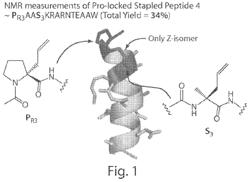 PROLINE-LOCKED STAPLED PEPTIDES AND USES THEREOF