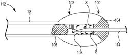 Cell encapsulation device including a porous tube