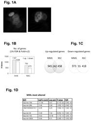 Compounds and methods for treating, detecting, and identifying compounds to treat apicomplexan parasitic diseases