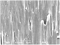 Polyolefin material having a low density